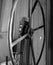 Black & White Photo of Metal Spoke Hand Wheel On Machine