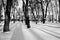 Black-white photo. Nikolai Gogol Park in Nizhyn, Ukraine covered snow.