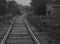 Black and white photo of a railroad going into the distance with a dog running along it