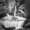 A black and white photo of Shrunz Waterfall in Baba Rishi, Gulmarg, Kashmir