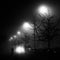 A black and white photo of a street at night with street lights shining behind the trees and silhouette of a person