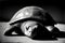 A Black And White Photo Of A Turtle. Generative AI