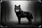 A Black And White Photo Of A Wolf. Generative AI