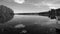 Black-and-white photograph. A beautiful large tranquil lake. It reflects the forest and clouds. Visible pier and lilies
