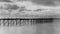 Black and white photography of a beach wooden pier