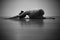 Black And White Photography Yoga Woman