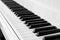 Black and White piano keyboard