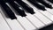 Black and white piano keys on the keyboard