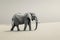 black and white picture of majestic elephant in a desert, AI generated