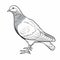 Black And White Pigeon Drawing: Realistic Color Scheme With Heavy Outlines