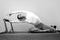 Black and white pilates woman sport