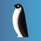 Black and white pinguin icon on blue background. vector illustration