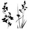 Black and white Plants silhouettes collection