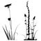 Black and white Plants silhouettes collection for designers