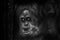 Black and white portrait of an orangutan that looks a bit like a Bigfoot. frightening look, facial expression