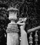 Black and white portrait of young slim sensual woman tourist at ancient stairs balustrade, stone flowerpot