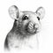 Black And White Rat Drawing: Digital Airbrushing Style With Detailed Shading
