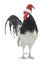 Black and white rooster in santa claus hat isolated on white background