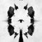 black and white Rorschach test