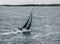 Black and white sailboat navigating stormy waters