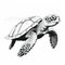 Black And White Sea Turtle Artwork: Detailed Character Design Illustration
