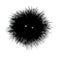 Black and white sea urchin doodle sketch illustration