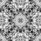 Black and white seamless pattern. Artistic delicat