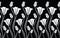 Black and white seamless tulip flower border