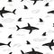 Black and white seamless vector doodle shark pattern.