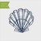 Black and white seashell. Hand drawn outline contour vector illustration of underwater scallop shell