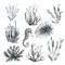 Black-and-white set marine: corals, seaweed, seahorse, hand drawin illustration with textures