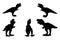 black and white set vector dinosaur tyrannosaurus dino silhouette isolated on white background