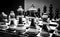 Black and white shot of the confrontation between white and black chess pieces standing on a chessboard