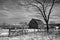 Black and white shot of midwest farm with a barn, bare tree, and fence in snow.