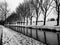 A black and white shot of winter. Trees grow along the canal