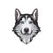 Black and white Siberian husky with multi-colored eyes. Hand drawn portrait of dog. Vector illustration