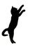 black and white silhouette of kitten jumping upwards on white isolated background