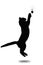 Black and white silhouette of little kitten jumping upwards on w