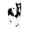 Black and white silhouette of small horse