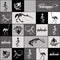 Black and white skeletons of reptiles, animals and birds in seamless pattern