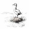 Black And White Sketch Of A Duck In Naturalistic Landscape