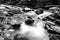 Black and White Slow Shutter Speed Photography of a Small River with Mossy Rocks in the Forest.