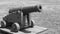 Black and white small cannon