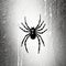 Black And White Spider: A Minimalist And Realistic Approach