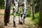 A black and white spotted horse with a long tail walks in a paddock and eats green juicy grass on a summer day