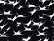 Black and white stars seamless pattern. Distorted stars. Background for fabrics, print, typography and advertising products