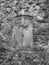 Black and white stone wall surrounds abandoned shuttered window with vines