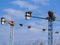 Black and white storks on industrial cranes, lerida, spain, europe