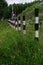 black and white striped fence posts with barbed wire stand in dense grass with flowers in hill