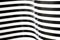 Black and white stripes curving 2